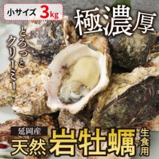 延岡産天然岩牡蠣(生食用)3kg(小)