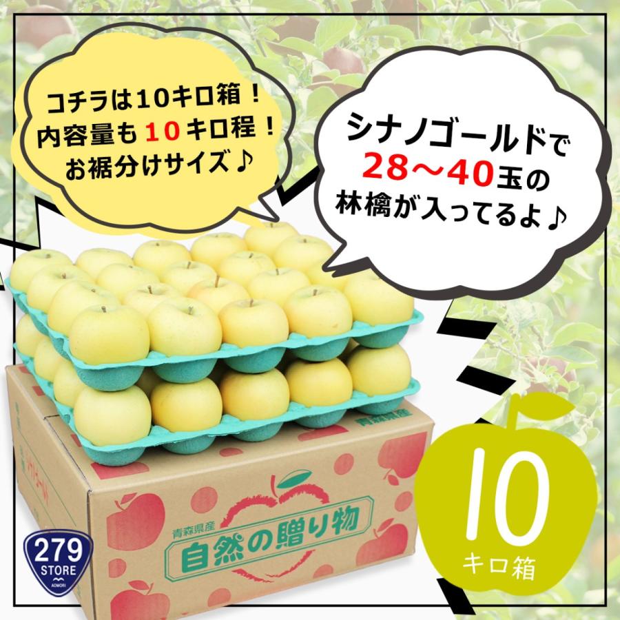 令和6年1月中旬頃発送訳あり 産地直送♪シナノゴールド 10キロ箱 28〜40玉 内容量 約10キロ 津軽産直組合直送 津軽りんご 青森県産 B品