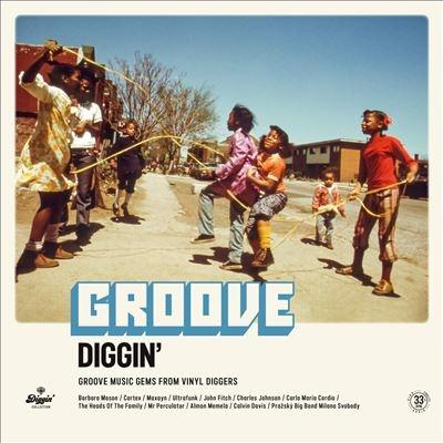Various Artists Groove Diggin' LP