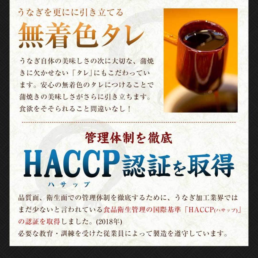 国産 うなぎ 蒲焼き メガ盛り 約140g×8尾セット 鹿児島県産 送料無料 ギフト