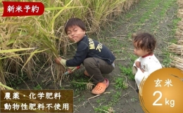 P439-02 ぶんぶんファーム 自然栽培 ひのひかり 玄米 2kg