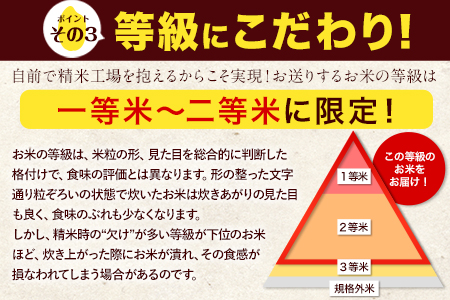 新米 令和5年産 無洗米 特A受賞品種 ひのひかり 森のくまさん 米 送料無料 計 10kg 食べ比べ ヒノヒカリ 厳選 熊本県産(長洲町産含む) 10キロ 5kg×2袋 米 お米 森くま 10kg ブランド米《60日以内に出荷予定(土日祝除く)》熊本県 長洲町