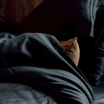 ROZZ 100%天絲60支床包四件組—黧豆黑 - 標準雙人