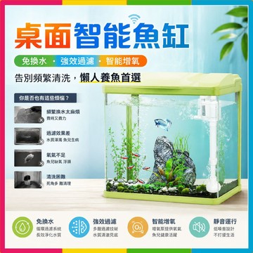 隔日🔥現貨🚀桌面魚缸 高透玻璃魚缸 迷你一體式魚缸 小型智能魚缸 懶人魚缸 免換水熱帶魚缸 孔雀魚缸短鯛缸 循環魚缸預購