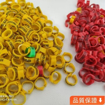 💥台灣出貨💥信鴿足環私人訂製免費刻字識別環鴿子腳環開口環信鴿腳環定製 nBWy