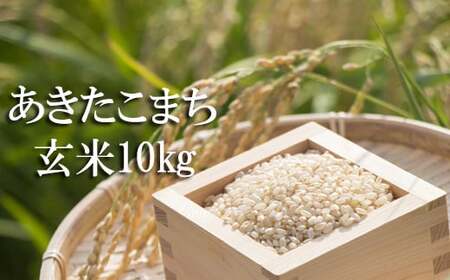  玄米 10kg ／ 新米 米 産地直送 