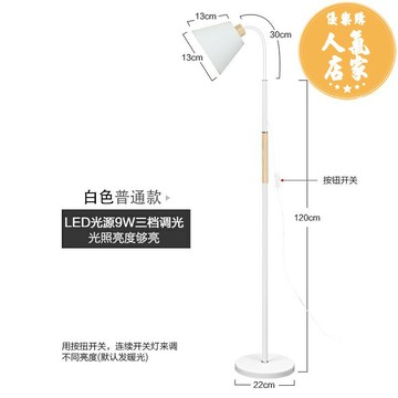 落地燈/立燈 虹朗落地燈北歐客廳臥室沙發書房ins風創意床頭簡約現代立式台燈