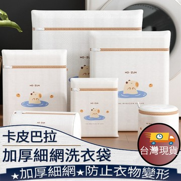 ❤️ 台灣現貨【卡皮巴拉加厚細網洗衣袋】洗衣袋 洗衣網 卡皮巴拉造型洗衣袋 防變形洗衣袋 衣物洗衣袋 內衣洗衣袋 207