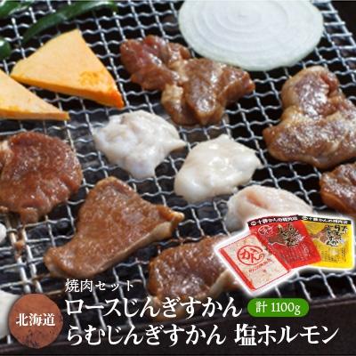 ふるさと納税 帯広市 焼肉セット(じんぎすかん2種、塩ホルモン)