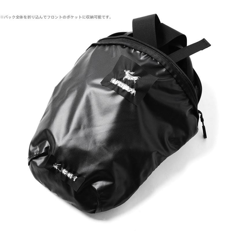 正規取扱店】ARC'TERYX アークテリクス インデックス Index 15 