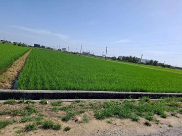 嘉鹿公路旁雙面路美農地｜嘉義縣水上鄉南靖