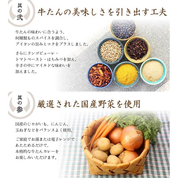 レトルト食品 常温保存 杜の都仙台名物 牛たんカレー 200g×2パック ご当地 カレー レトルト 高級