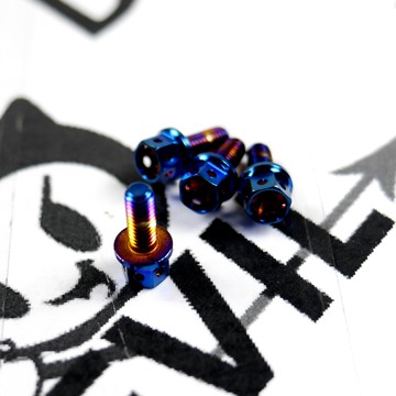 ZOO | 白鐵鍍鈦螺絲 外六角螺絲 白鐵 鍍鈦 螺絲 M4X10 直購價為單顆