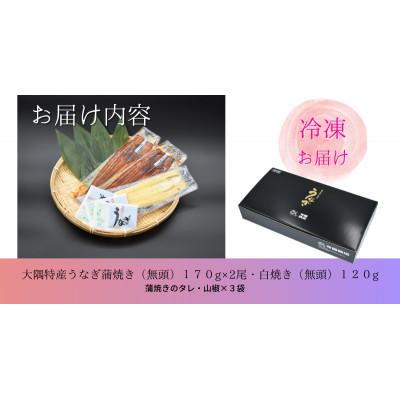 ふるさと納税 鹿屋市 大隅特産うなぎ蒲焼2尾(170g×2尾)・白焼1尾(120g)食べ比べセット 1877