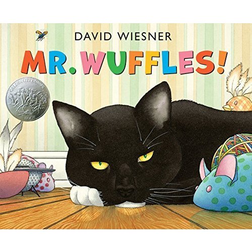 Mr. Wuffles! (Caldecott Medal Honors Winning Title(s))