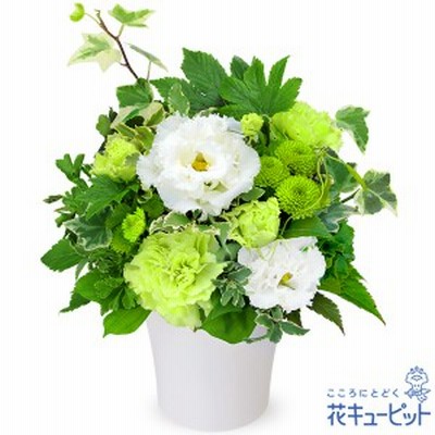 お供え お悔やみの献花 仏花 供花 法要 枕花 お盆 お彼岸 四十九日 生花 翌日 花キューピットのお供えのアレンジメント 通販 Lineポイント最大get Lineショッピング