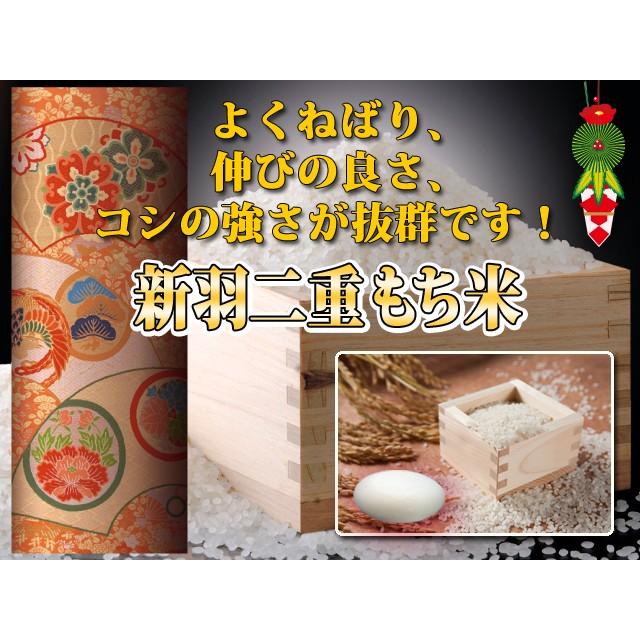 新米 もち米 10kg 送料無料 白米 京都産 新羽二重 5kg×2袋 令和5年産