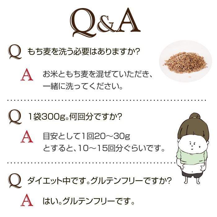 もち麦 もちむぎ 300g 無農薬 無肥料 自然栽培 ダイシモチ 宮崎県産 食物繊維