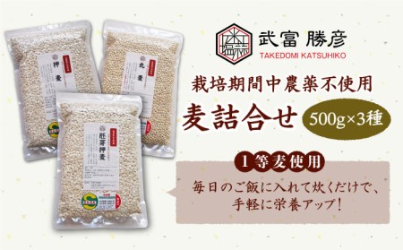 麦詰合 500g×3（押麦、胚芽押麦、丸麦）特別栽培農産物 麦[HAJ013]