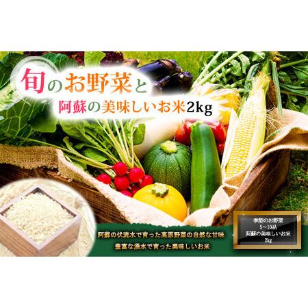 ふるさと納税 季節のお野菜セットとお米のセット 熊本県阿蘇市