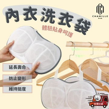 【台灣現貨 隔日配】內衣洗衣袋 內衣 洗衣袋 內衣袋 洗衣網袋 洗內衣袋 洗衣網