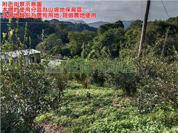 苗栗景山臨路小資農地 / 925BO｜苗栗縣卓蘭鎮草寮段