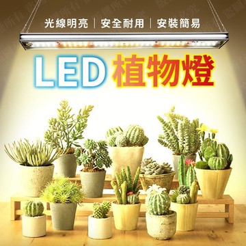 隔日到貨 LED 植物燈 全光譜 植物生長燈 植物燈全光譜 太陽光 多肉植物燈 生長燈 多肉植物