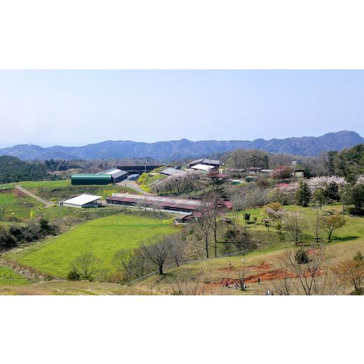 ふるさと納税 鳥取県 八頭町 鳥取牛バラ 800g