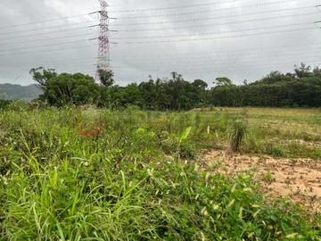 林口區平坦農地(特定區保護區)｜新北市林口區頂福