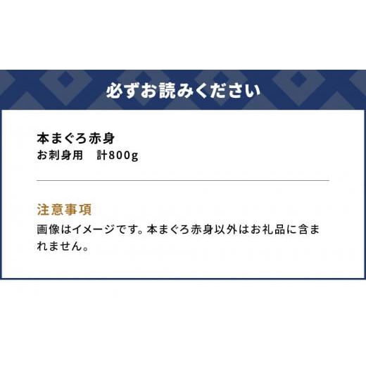 ふるさと納税 大分県 津久見市 本マグロ まぐろお刺身用 赤身5人前(800g) 鮪 海鮮丼 刺し身 刺身 盛り合わせ 冷凍 魚の刺身 大分県産 九州産 津久見市 熨斗対…