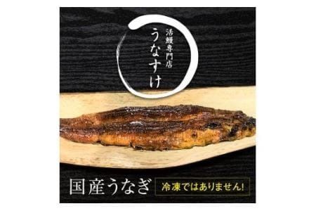 国産うなぎ蒲焼き (5匹)｜名店 鰻 ウナギ うな丼 鰻丼 冷蔵 クール便 ひつまぶし 丑の日 簡単調理 [0528]