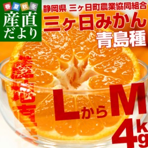 静岡県より産地直送 JAみっかび 三ケ日みかん (青島種)  LからMサイズ  4キロ 送料無料 三ヶ日 みつかび ミカン 温州みかん