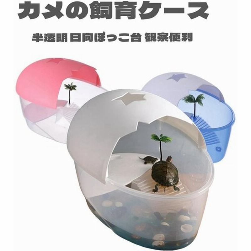 亀 爬虫類 水槽 亀水槽 飼育ケース カメ飼育ケース タートルタンク カメ生息地 日向ぼっこ台 エサ皿 日よけ蓋 排水孔 ザリガニ 観察 通販 Lineポイント最大get Lineショッピング