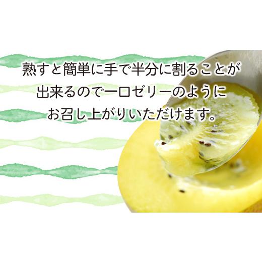 ふるさと納税 香川県 さぬき市  キウイフルーツ キウイ 香川 さぬきキウイっこ 約2kg（約40〜80玉） 国産 さぬき市 キウイ 果物 フルーツ 旬 【 …