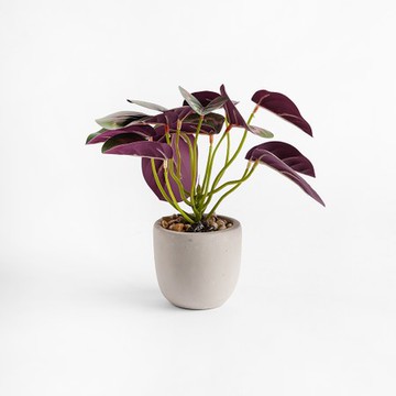 波特仿真盆栽 孔雀竹芋 23cm