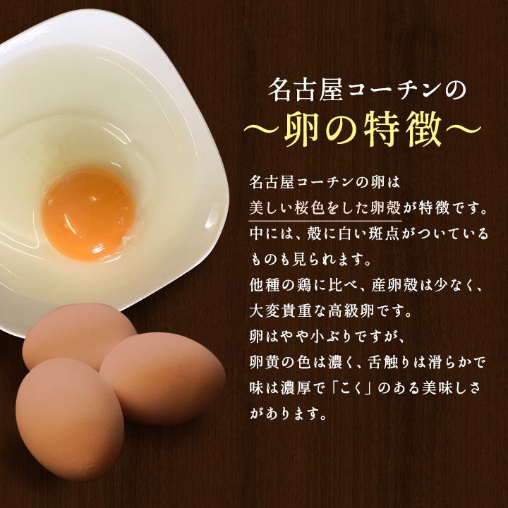 櫛田養鶏場のこだわりの卵 三種食べ比べセット 名古屋コーチンの卵10個 くしたま赤卵10個 くしたま白卵10個 合計30 個(※各種9個 1個破卵保証)