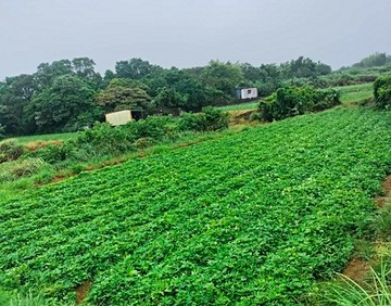 三芝土地公埔土地｜新北市三芝區土地公埔