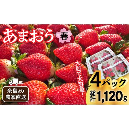 ふるさと納税 糸島産 春 あまおう 280g × 4パック (DXおよびGサイズ) 糸島市.. 福岡県糸島市