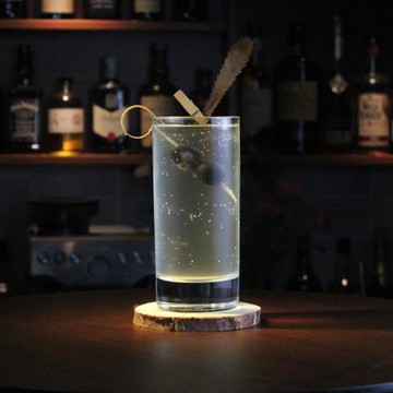 RCR意大利水晶杯進口雞尾酒長飲杯柯林杯金湯力杯餐廳檸檬水杯