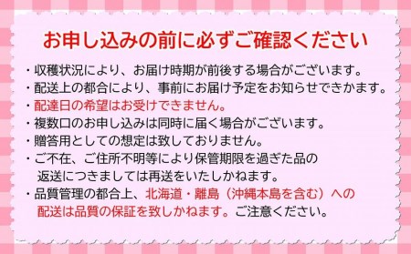 九州・福岡フルーツ王国八女　お楽しみ旬のフルーツ定期便｜＜配送不可：北海道・沖縄・離島＞　072-T008