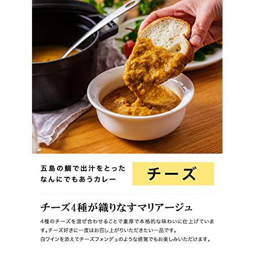 ごと 五島の鯛で出汁をとったなんにでもあうカレー 5種セット(プレーン・チキン・ビーフ・チーズ・ポーク) 福さ屋 辛子明太子