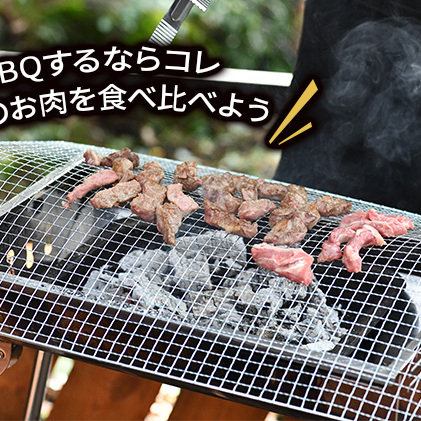 4種のお肉 BBQセット 牛 豚 鶏 鹿肉 3人前 1kg 焼肉