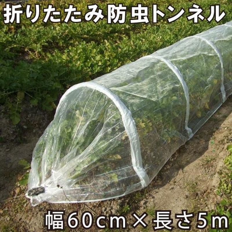 愛農 防虫ネットとトンネル支柱セット 60cm×5m 1mm目 折畳可能 防虫