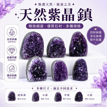 【光之捕夢網】天然水晶 紫水晶 紫晶洞小型 紫晶 紫晶鎮 一圖一物 紫晶簇迷你紫晶簇桌面裝飾擺飾