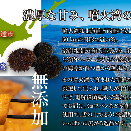 北海道 噴火湾産 塩水 バフンウニ 100g 4パック 計400g うに ウニ 雲丹 海鮮 海の幸 魚介類 ウニ丼 お寿司 濃厚 無添加 産地直送 お取り寄せ 山村水産 送料無料