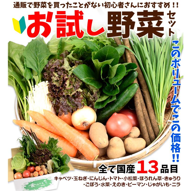 国産野菜13品目セット 1組 冷蔵 ご家庭用 送料無料 食品