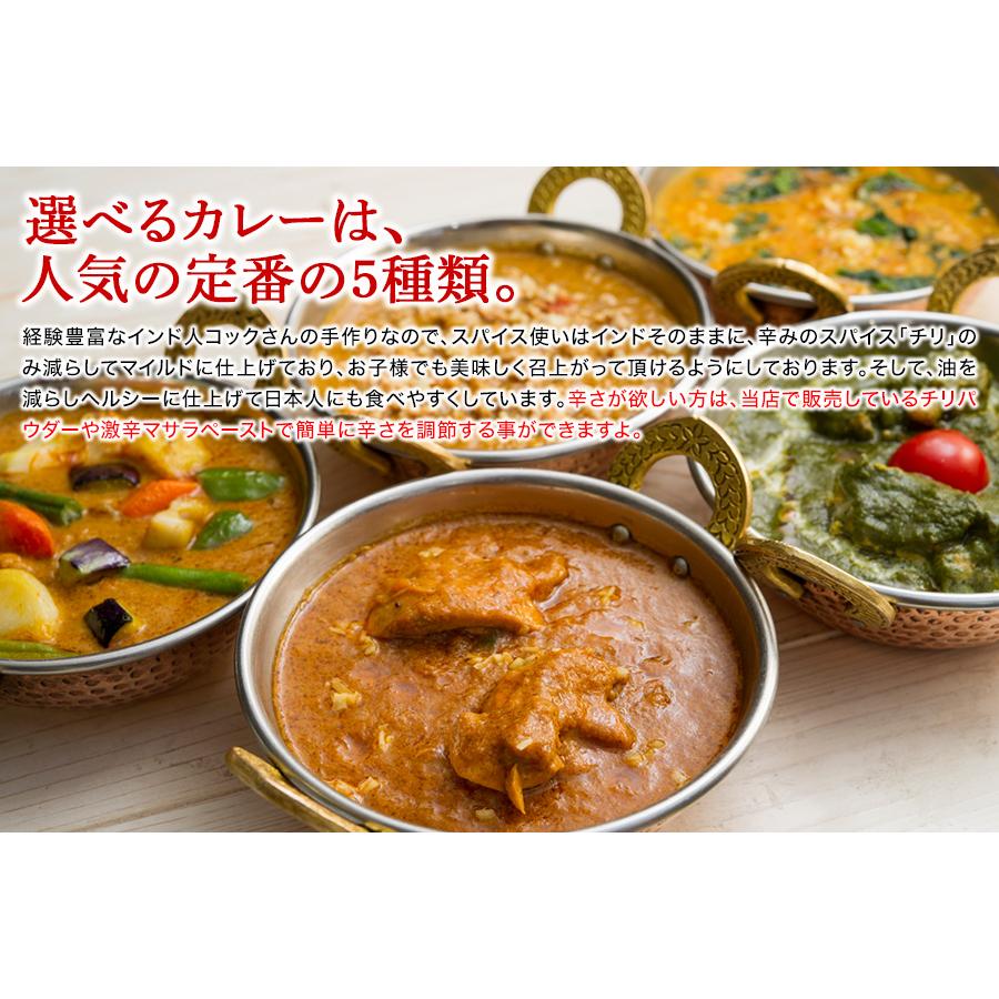 ナンカレーセットB 送料無料 インドカレー インド料理 セット商品