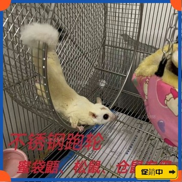 🔥桃園有貨🔥【2478人好評】304不銹鋼蜜袋鼯跑輪鬆跑輪倉跑輪鸚鵡跑輪刺蝟跑輪懸掛跑輪 VAEXvdrb