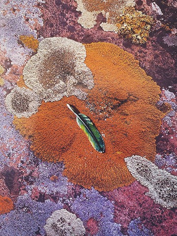 手繪墜子 - 羽毛