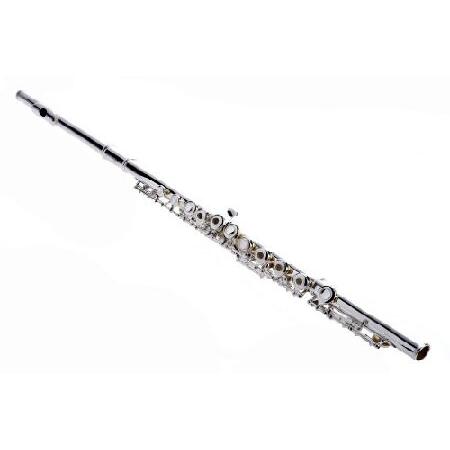 Hawk WD-F114 Student Open Hole Flute with Case